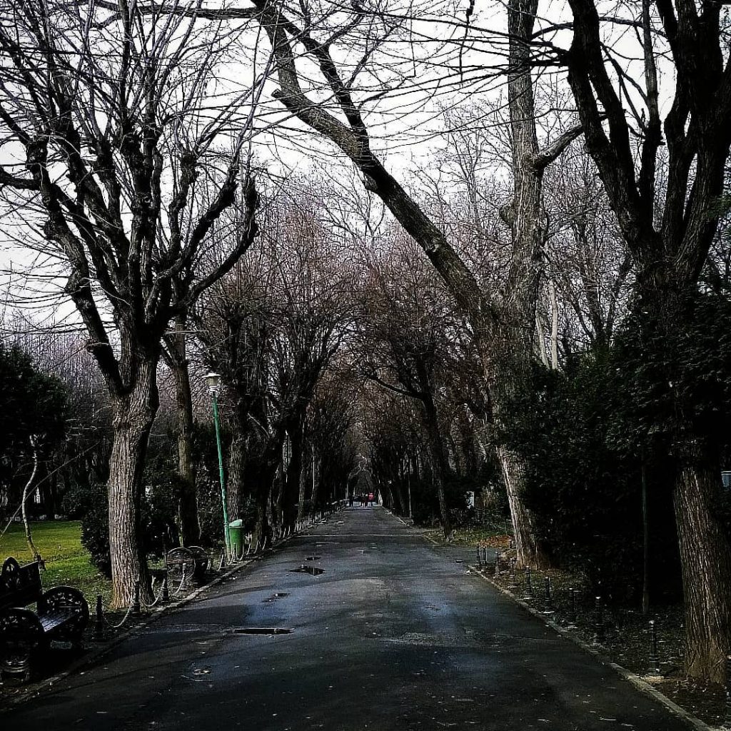 If you don’t know where you are going,any road will get you . .…