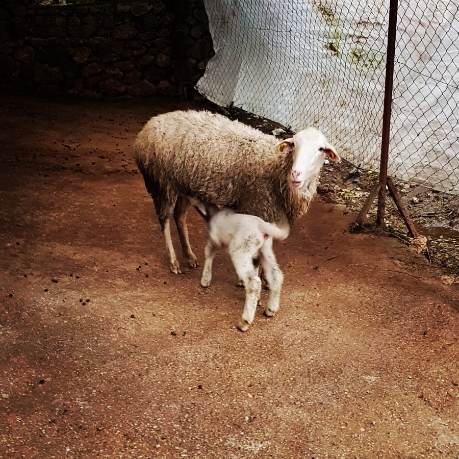 welcome #beautifulhotels #travelblogger #travel #travelrepost #explore #datça #datca #airbnb #beautifuldestinations #worderlust #amazingdestination #wonderful_places #beautifulmatters&hellip;