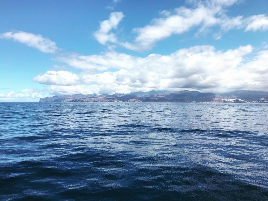 Rozhodně nejsilnější zážitek celé téhle cesty na Gran Canaria byla plavba lodí na delfíny.&hellip;