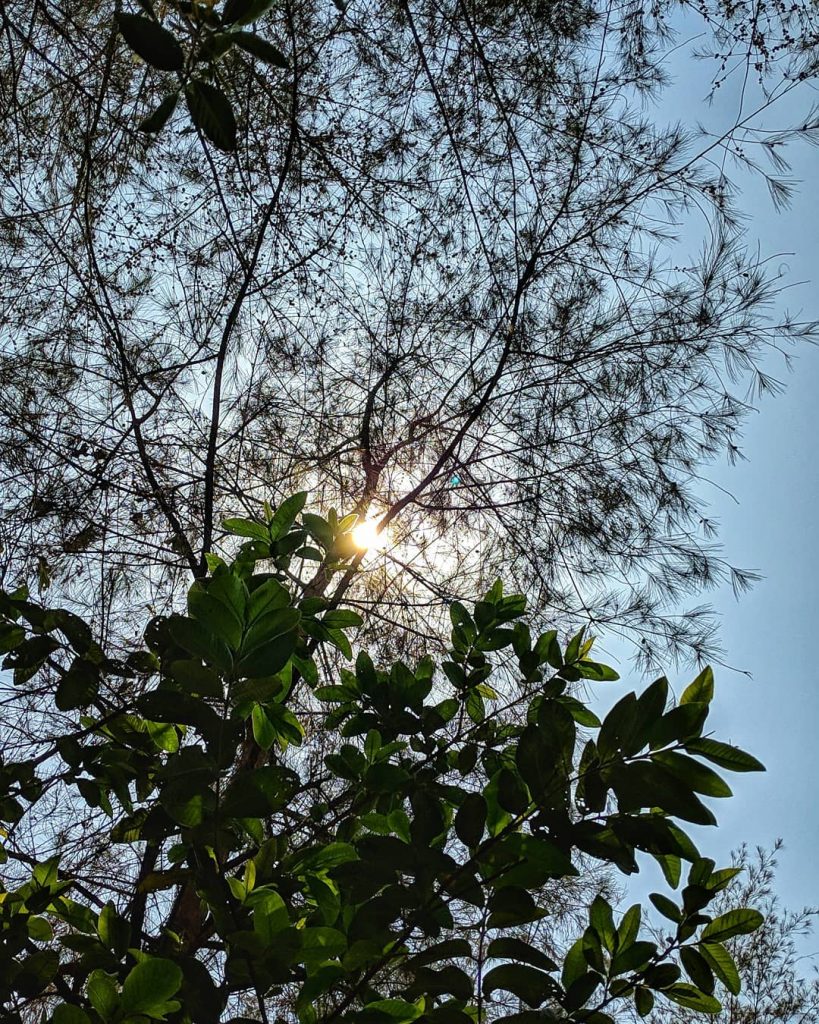 If you truly love Nature, you will find beauty everywhere #streetphotography #streetsofmumbai #creativephotography #maharashtra_clickers&hellip;