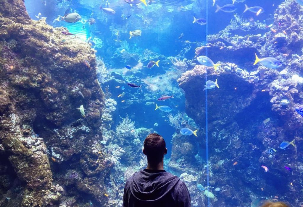 You were the fish I was looking for . . #plentyoffishinthesea #fish #ocean #sea…