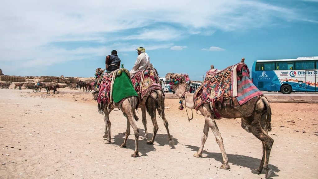 #travel #traveling #traveler #travelgram #travelphoto #travelholic #backpacker #photography #canon #bnesimppl #여행 #여행사진 #여행에미치다 #여행스타그램&hellip;