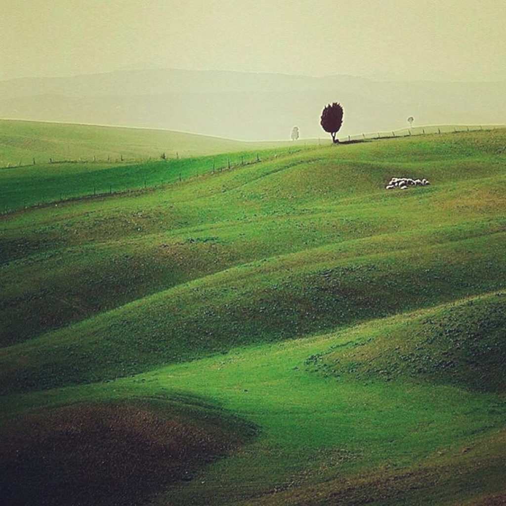 #fotartplgz #bnesimppl #traveldestinations_ig Edited with: @carbonblackandwhite _ #landscape #amazing #view #trip #tree #sky #mountains&hellip;
