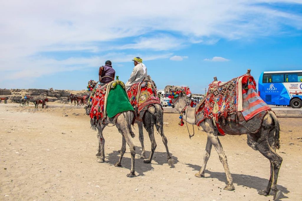 #travel #traveling #traveler #travelgram #travelphoto #travelholic #backpacker #photography #canon #bnesimppl #여행 #여행사진 #여행에미치다 #여행스타그램&hellip;