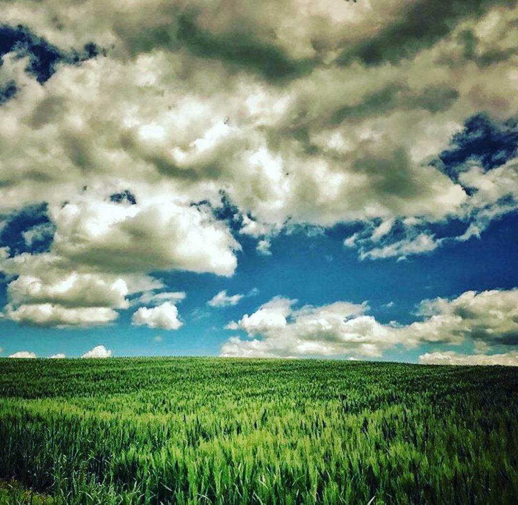 #fotartplgz #bnesimppl #traveldestinations_ig Edited with: @carbonblackandwhite _ #landscape #amazing #view #trip #tree #sky #mountains&hellip;