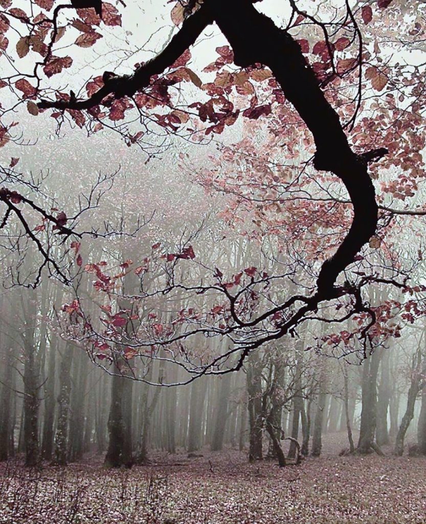 #fotartplgz #bnesimppl #traveldestinations_ig Edited with: @carbonblackandwhite _ #weather #skylovers #natureporn #amazing #skypainters #gf_daily #light&hellip;