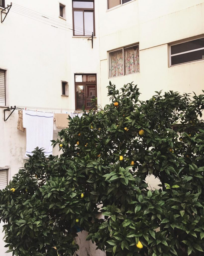 Still one of my favorite pics