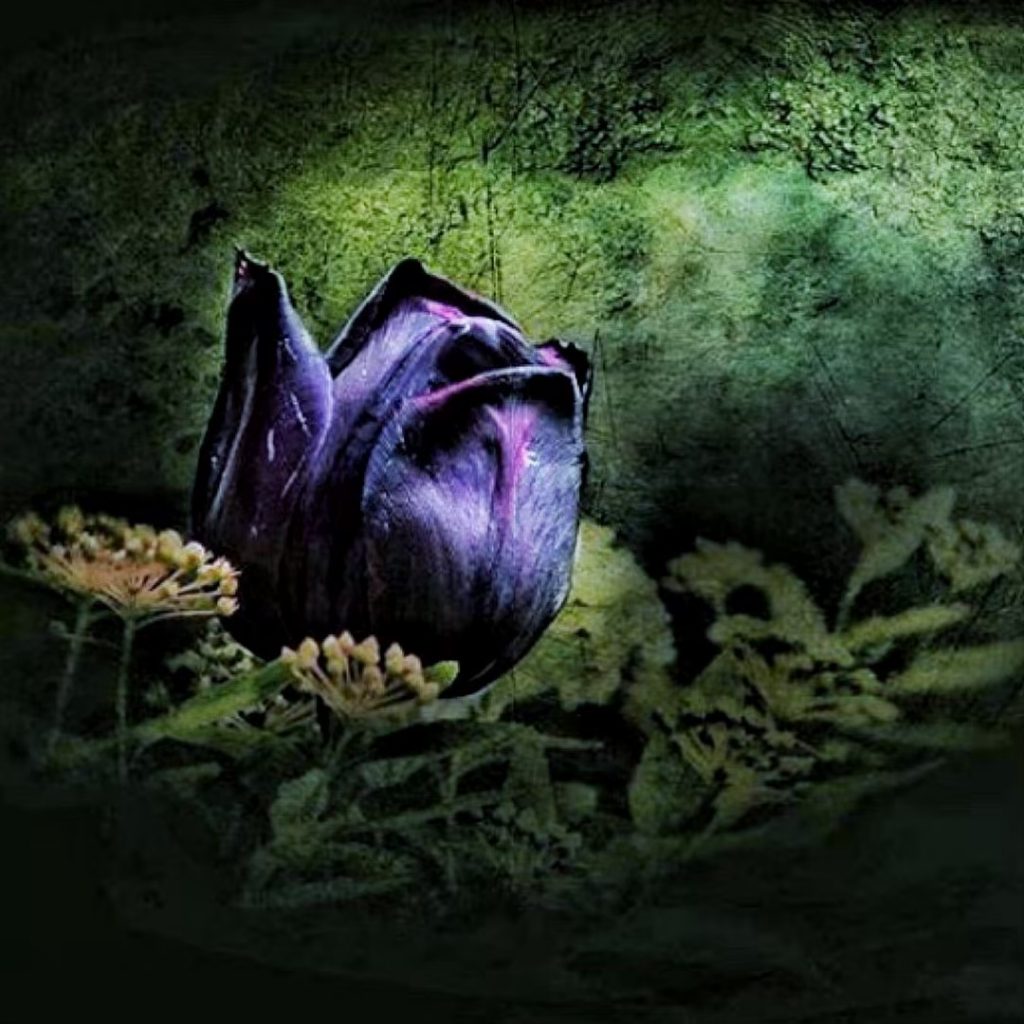 #fotartplgz #bnesimppl #traveldestinations_ig Edited with: @carbonblackandwhite _ #weather #skylovers #natureporn #amazing #skypainters #gf_daily #light&hellip;