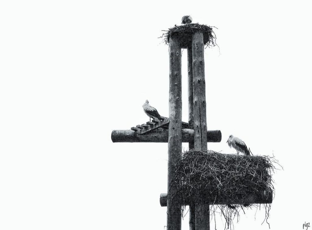 #fotartplgz #bnesimppl #traveldestinations_ig Edited with: @carbonblackandwhite _ #weather #skylovers #natureporn #amazing #skypainters #gf_daily #light&hellip;