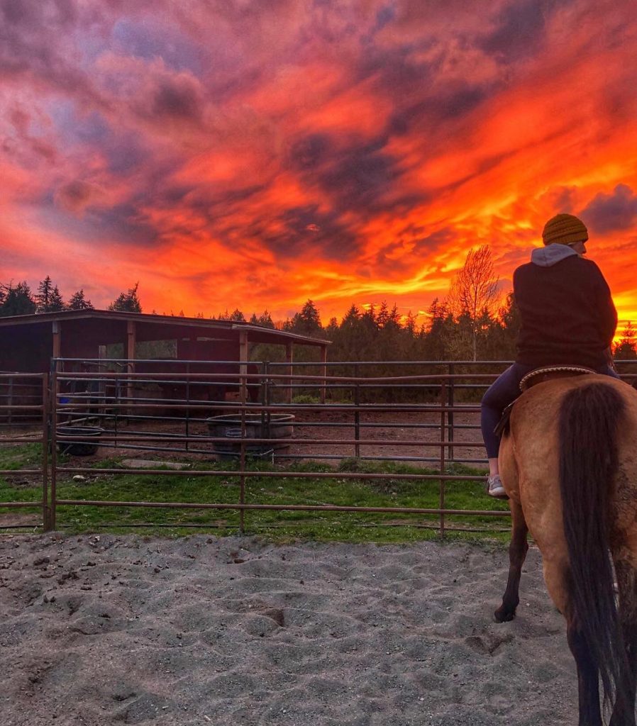 It was a pretty good night last night. I also peed outside by those&hellip;