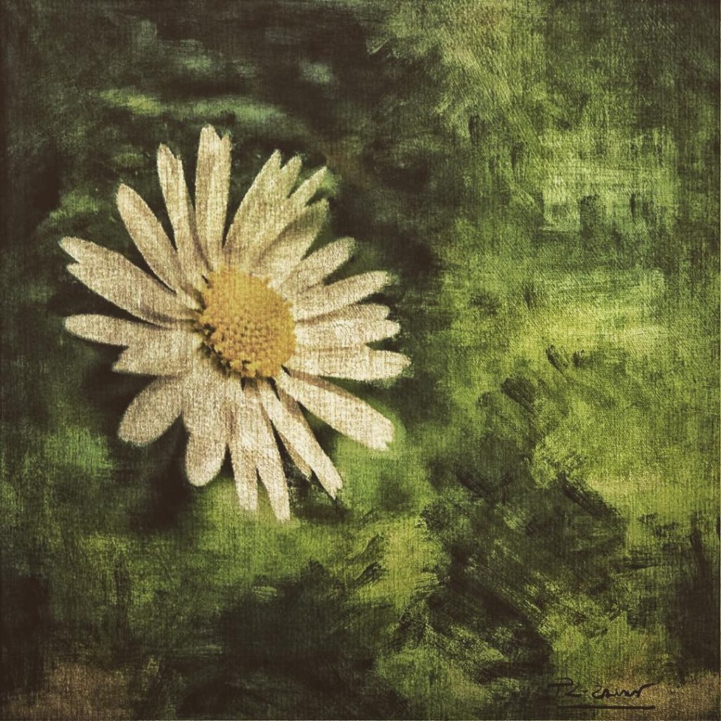 #fotartplgz #bnesimppl #traveldestinations_ig Edited with: @carbonblackandwhite _ #photo #photos #nikon #pics #picture #pictures #snapshot&hellip;