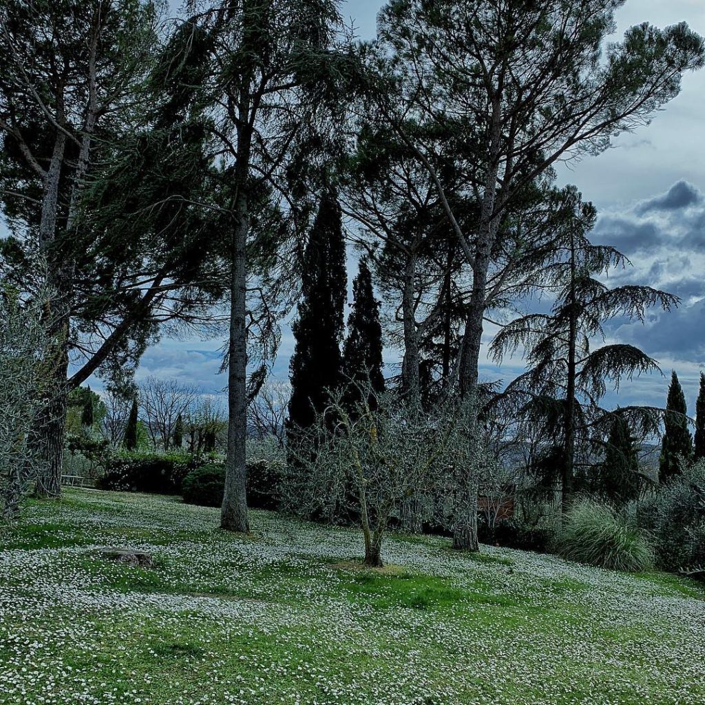 #fotartplgz #bnesimppl #traveldestinations_ig Edited with: @carbonblackandwhite _ #weather #skylovers #natureporn #amazing #skypainters #gf_daily #light&hellip;