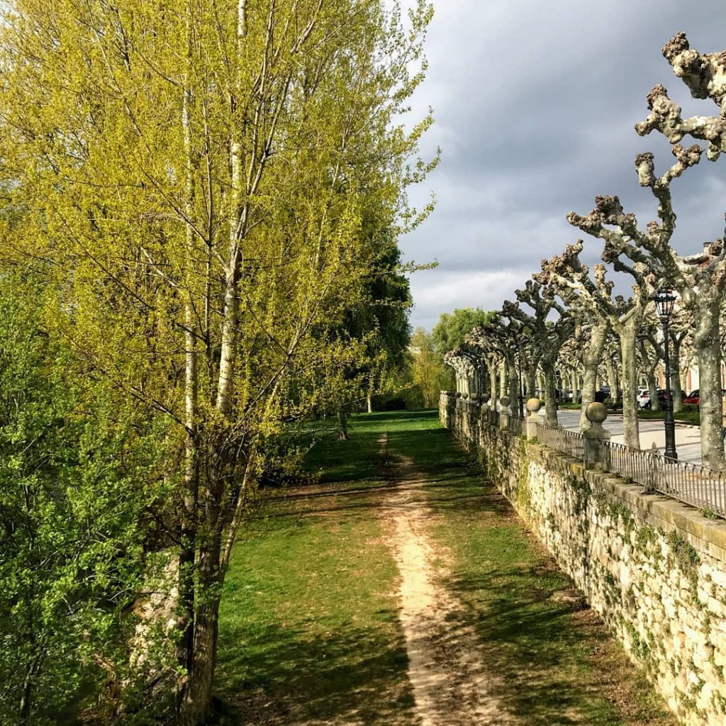Burgos, Castilla y León #travel #video #viajes #cultura #historia #travelgram #instagramers #discovereurope #bnesimppl #discoverychannel&hellip;