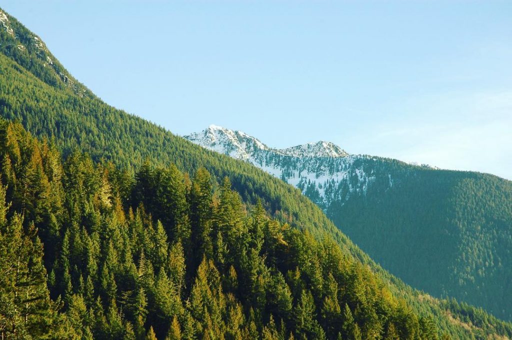 Dreaming of mountains