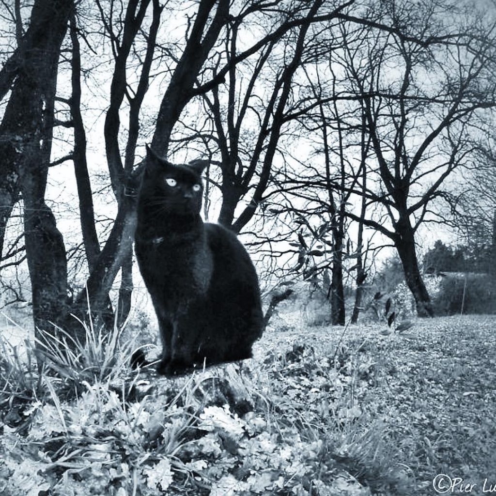 #fotartplgz #bnesimppl #traveldestinations_ig Edited with: @carbonblackandwhite _ #photo #photos #nikon #pics #picture #pictures #snapshot&hellip;