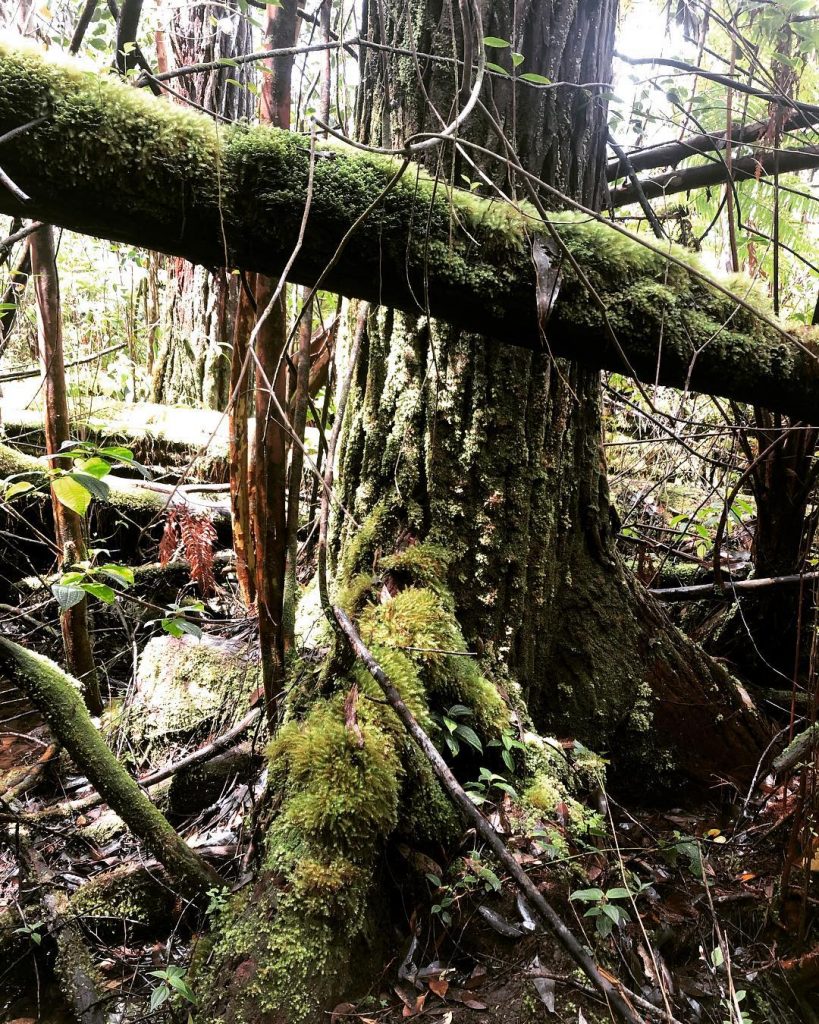 “Nobody can ever make you smile for no apparent reason, except for the person&hellip;