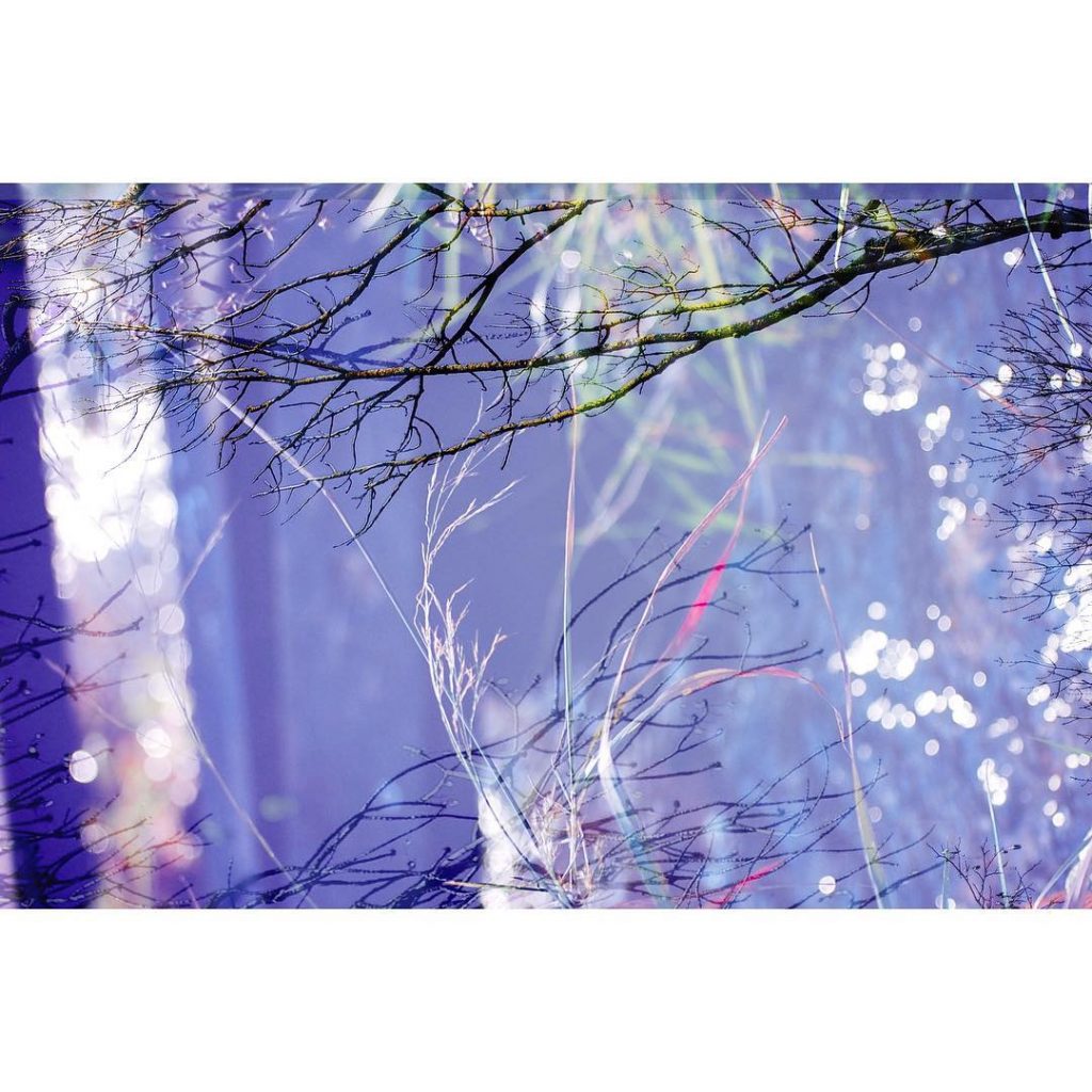 Este bosque inventado, el refugio en el que encontrarte en mi imaginario #doubleexposure #multipleexposure&hellip;