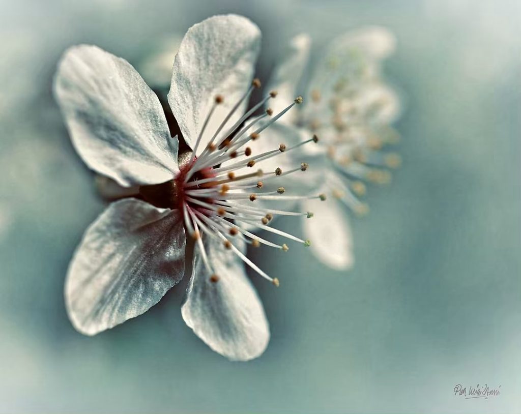 #fotartplgz #bnesimppl #traveldestinations_ig Edited with: @carbonblackandwhite _ #weather #skylovers #natureporn #amazing #skypainters #gf_daily #light&hellip;