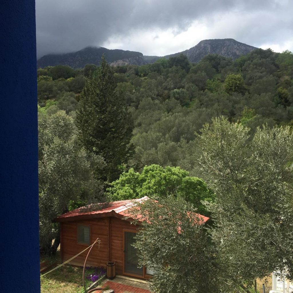 artolive bungalow #beautifulhotels #travelblogger #travel #travelrepost #explore #datça #datca #airbnb #beautifuldestinations #worderlust #amazingdestination #wonderful_places&hellip;