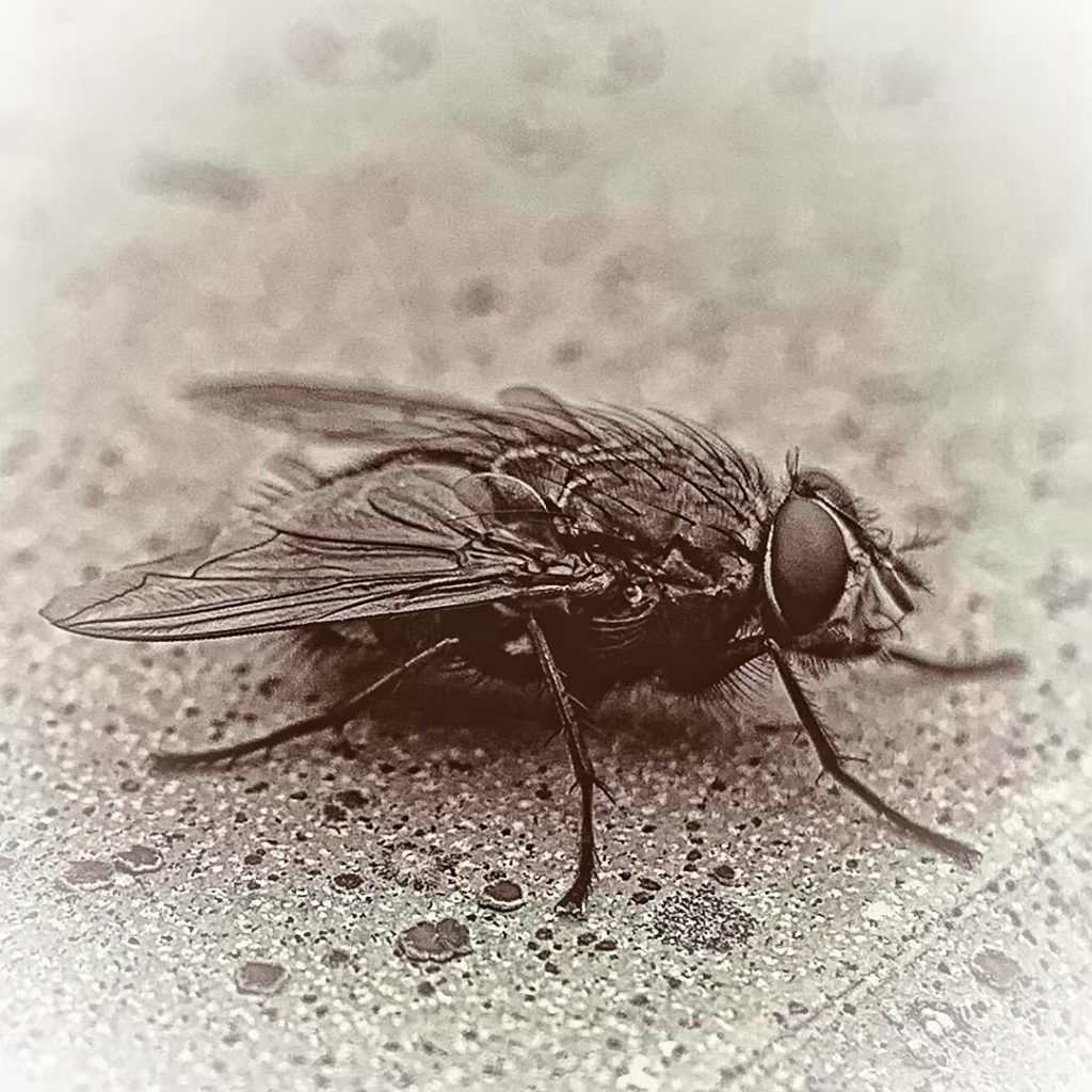 #fotartplgz #bnesimppl #traveldestinations_ig Edited with: @carbonblackandwhite _ #photo #photos #nikon #pics #picture #pictures #snapshot&hellip;