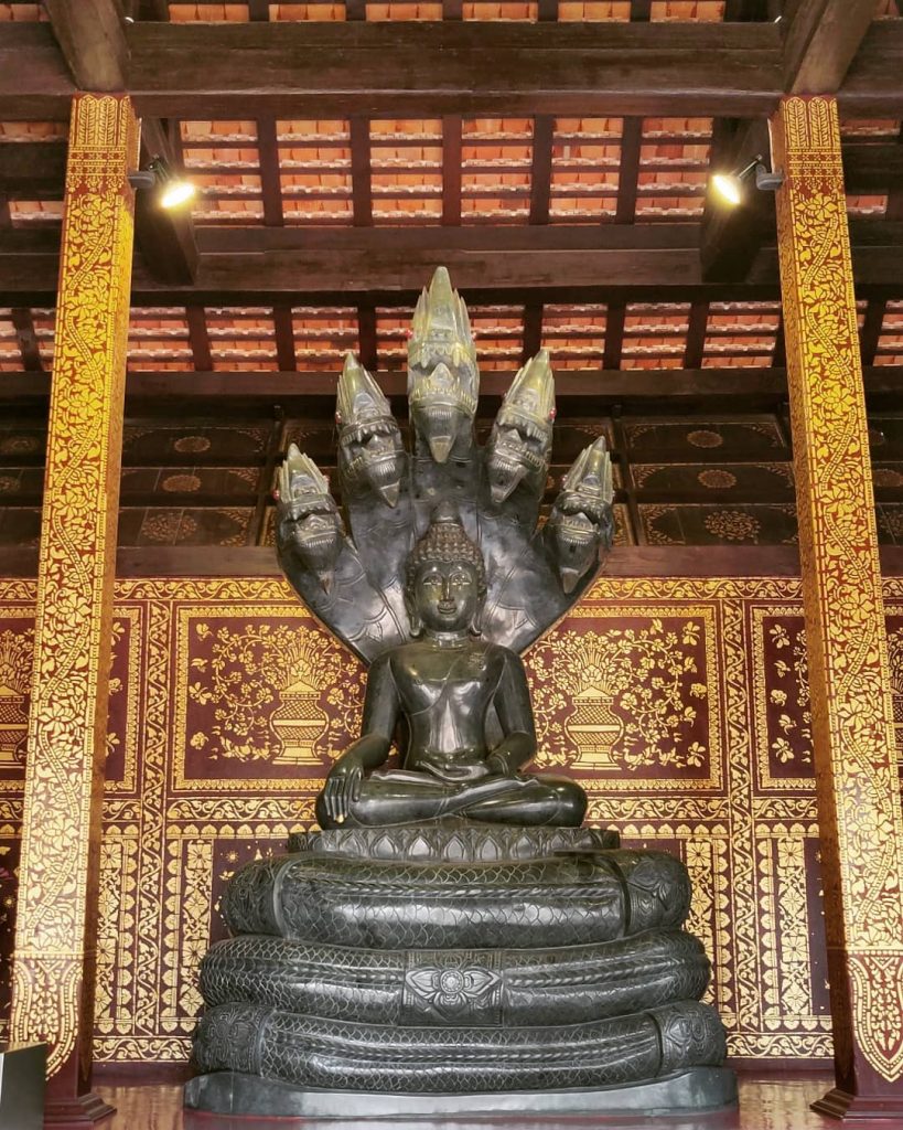 “???????? ???? ???????????????????? ???????????????????? ???????????????? ???????? ????????????????????????????????, ???????????????????? ???????? ????????????????????????????????” ° ° ° Thailand&hellip;