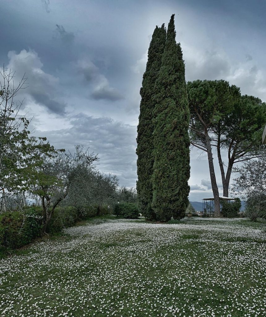 #fotartplgz #bnesimppl #traveldestinations_ig Edited with: @carbonblackandwhite _ #weather #skylovers #natureporn #amazing #skypainters #gf_daily #light&hellip;