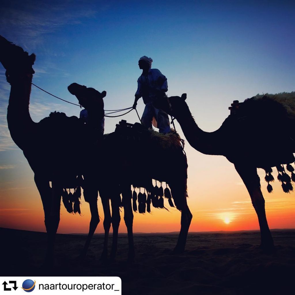 Il #Qatar tutto da scoprire. #Doha #naar #desert #bluvacanze #agenziaviaggi #travel #travelblogger #travelgram #traveller&hellip;