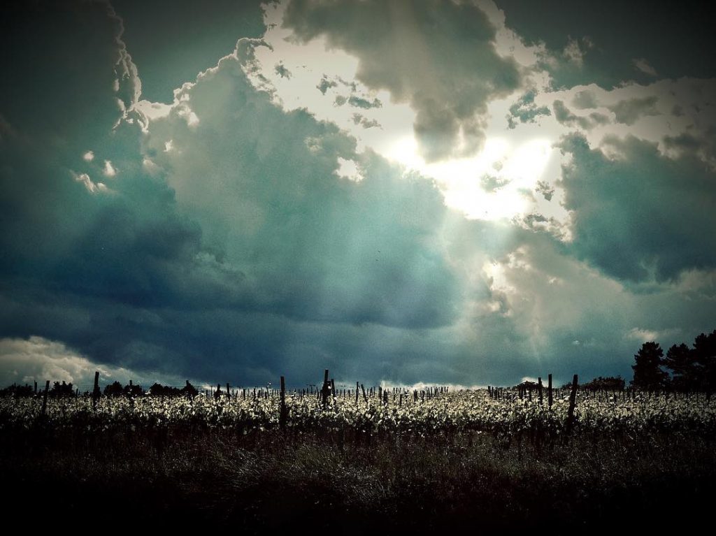 #fotartplgz #bnesimppl #traveldestinations_ig Edited with: @carbonblackandwhite _ #landscape #amazing #view #trip #tree #sky #mountains&hellip;