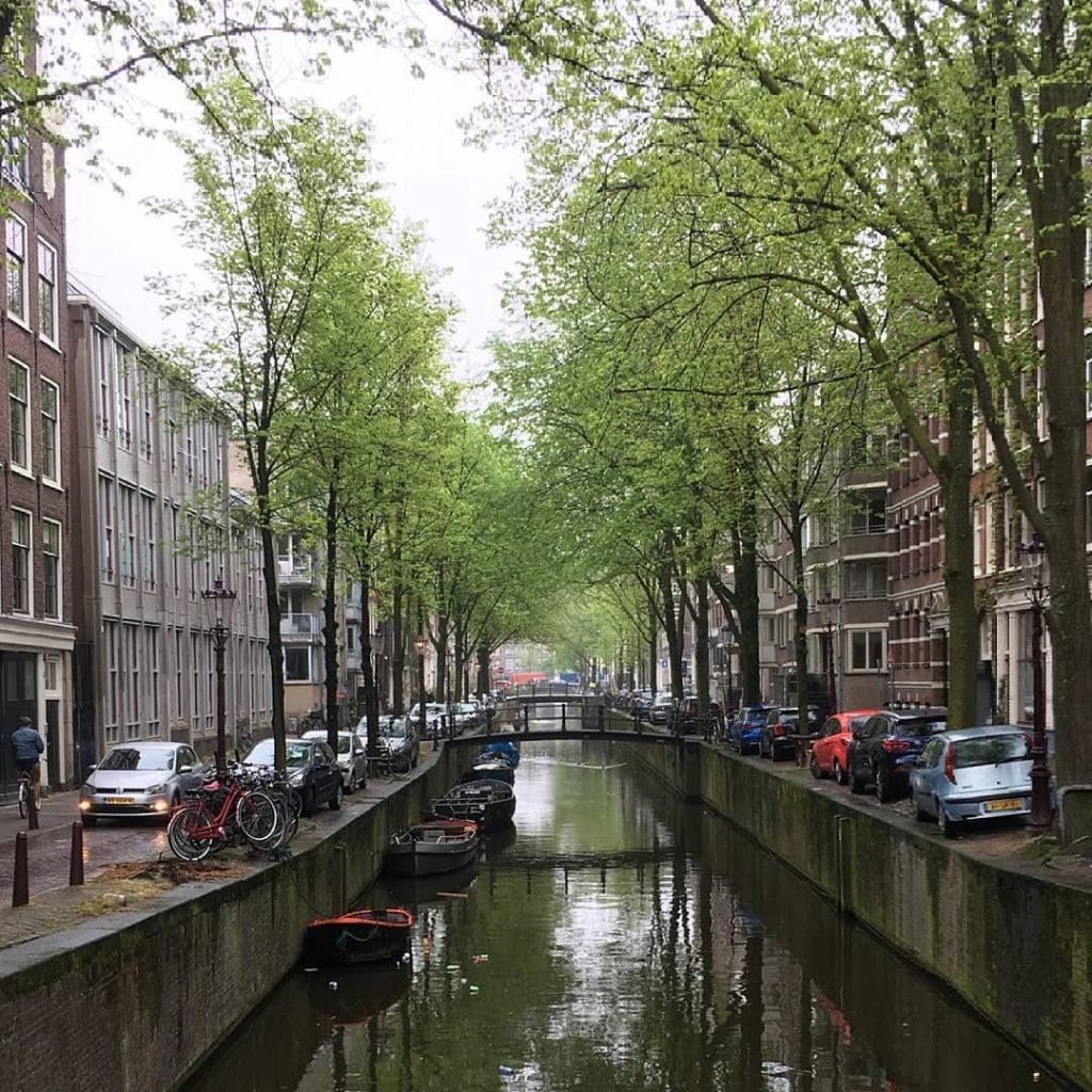 Spring in Amsterdam. . . . . . . #openmyworld #travellifedailypic #travelzoo #travelblogger #travelgram…