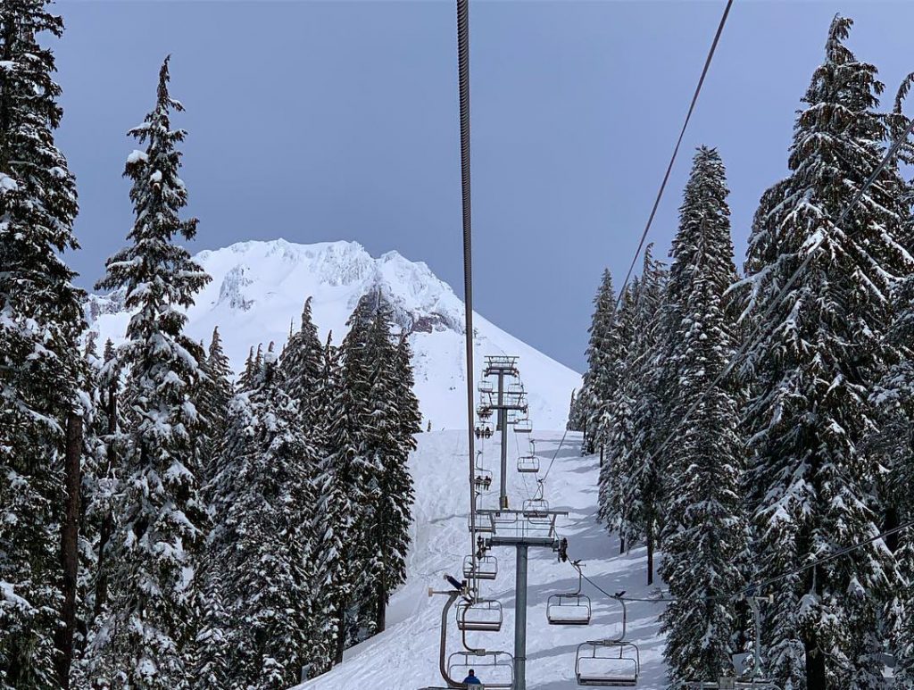 The weeping old man’s beard that covers the trees, the smell of spring in&hellip;