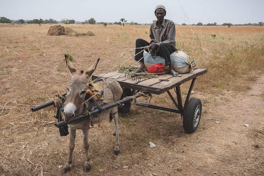 This week is all about daily life in the Gambia, starting of with&hellip;