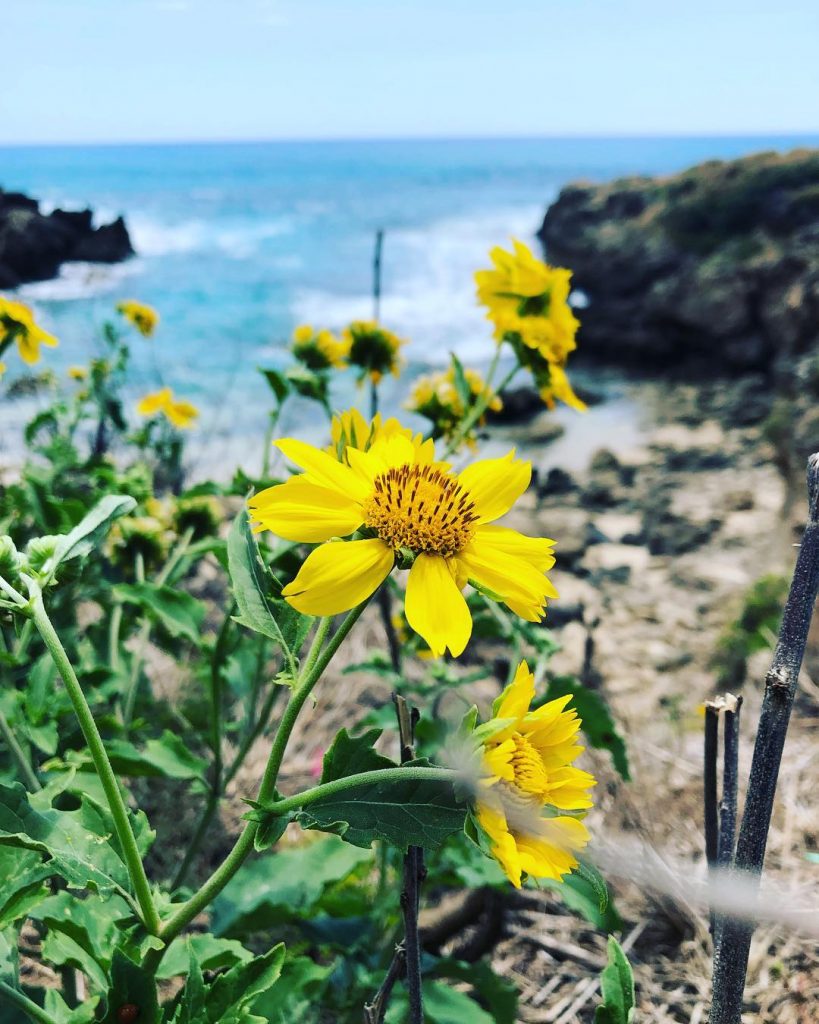 “Don’t be pushed around by the fears in your mind. Be led by the&hellip;