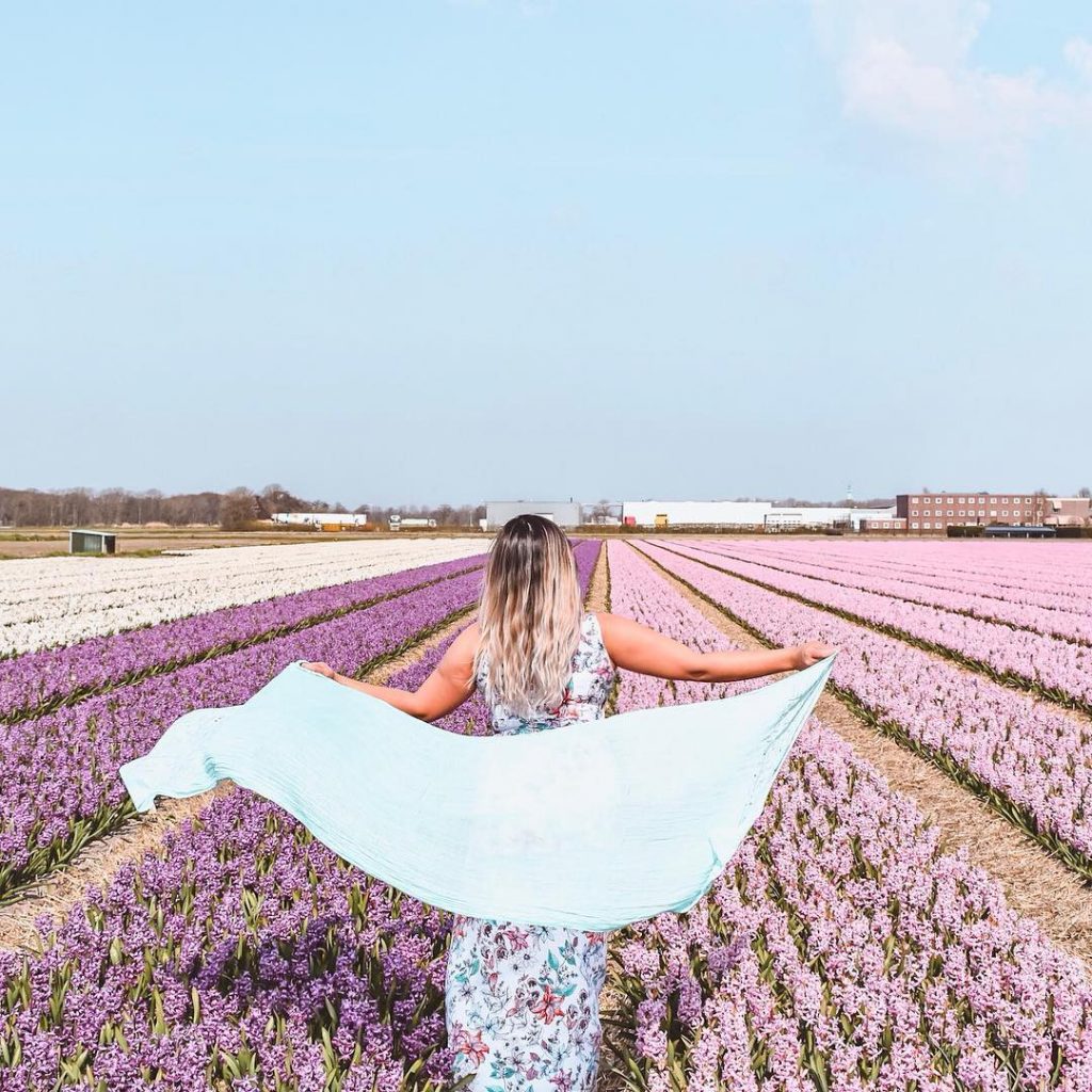 New blogpost alert: my guide to enjoy the gorgeous flower fields in The Netherlands…