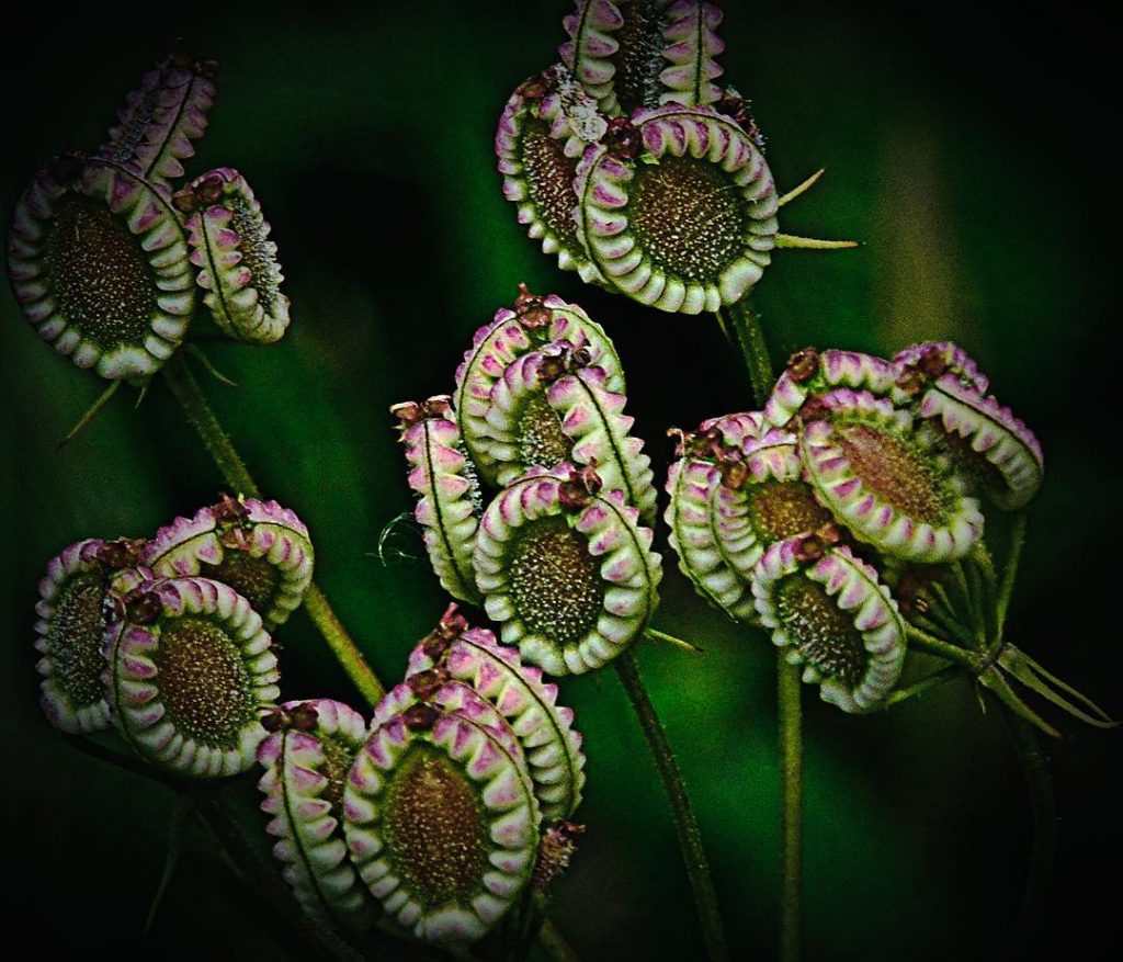 #fotartplgz #bnesimppl #traveldestinations_ig Edited with: @carbonblackandwhite _ #weather #skylovers #natureporn #amazing #skypainters #gf_daily #light&hellip;