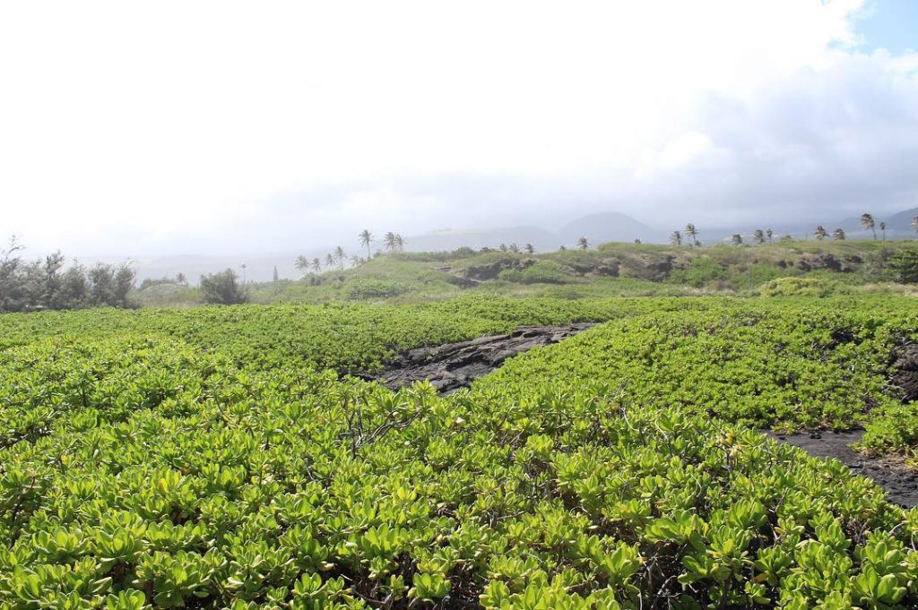 Some of the places I am lucky enough to travel to are nothing like&hellip;