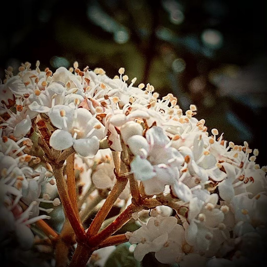 #fotartplgz #bnesimppl #traveldestinations_ig Edited with: @carbonblackandwhite _ #weather #skylovers #natureporn #amazing #skypainters #gf_daily #light&hellip;