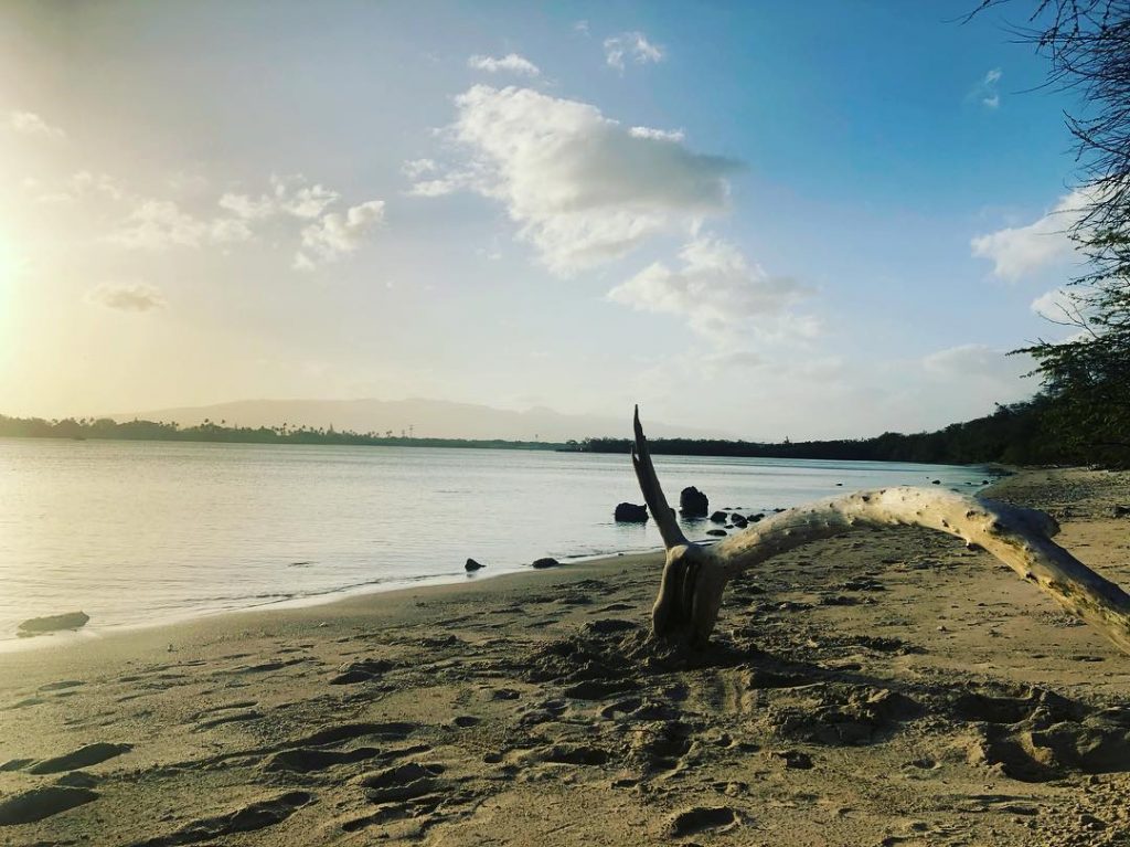 Love has the potential of wildly piercing your heart and sewing it back again,&hellip;