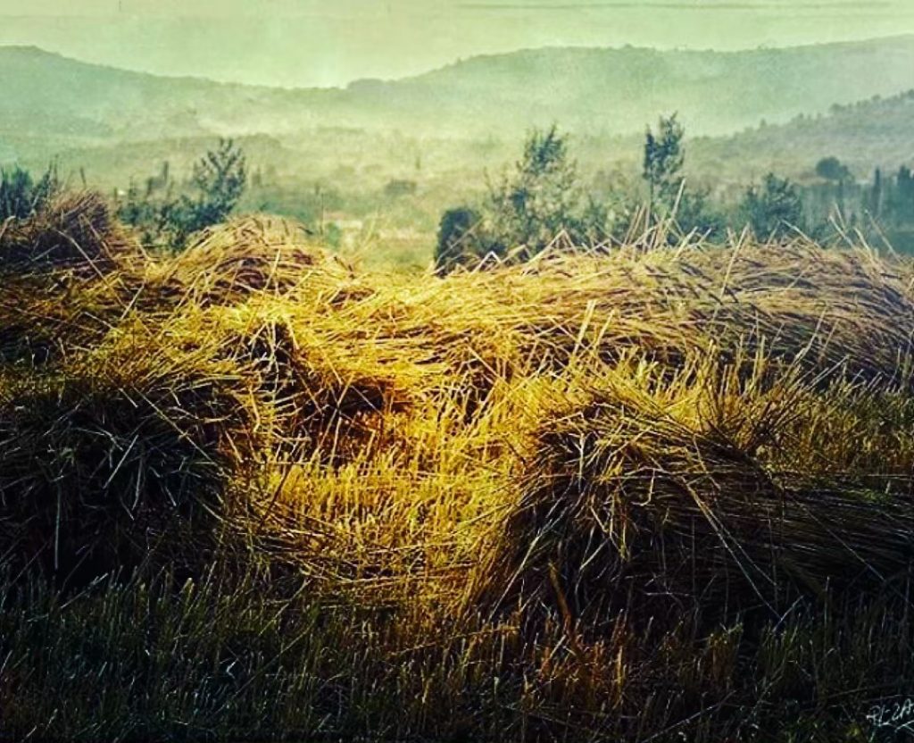 #fotartplg #bnesimppl Edited with: @carbonblackandwhite _ #landscape #amazing #view #trip #tree #sky #mountains #nature&hellip;