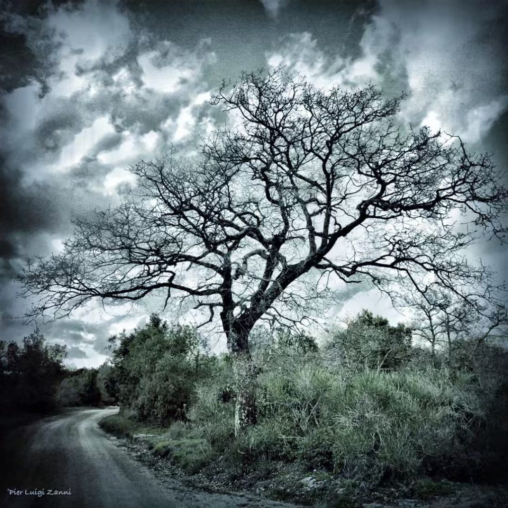 #fotartplgz #bnesimppl #traveldestinations_ig Edited with: @carbonblackandwhite _ #landscape #amazing #view #trip #tree #sky #mountains&hellip;