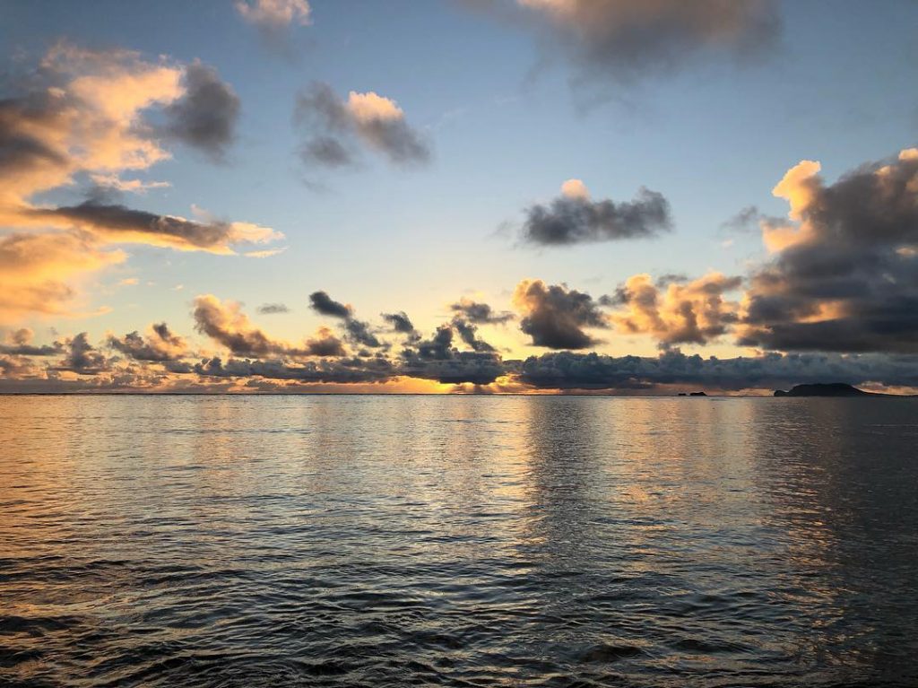 Love of beauty is taste. The creation of beauty is art