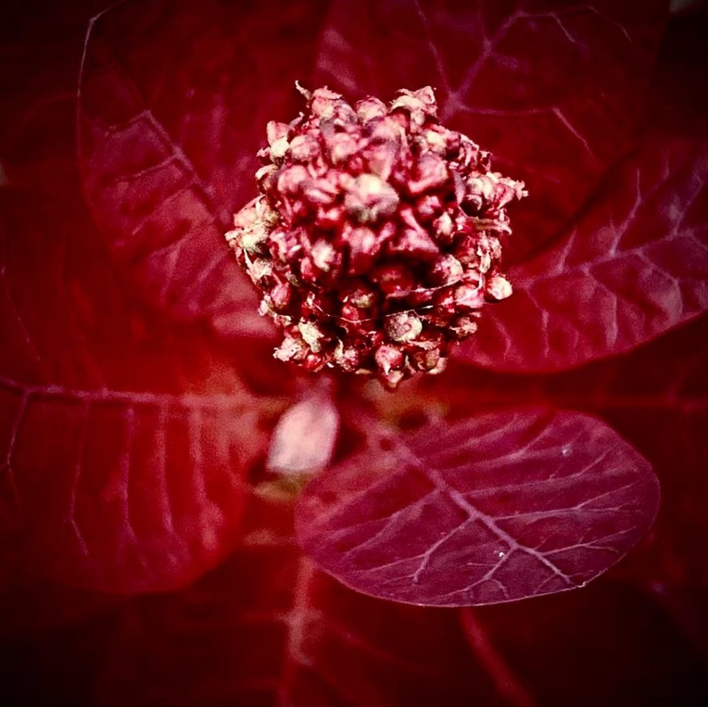 #fotartplgz #bnesimppl #traveldestinations_ig Edited with: @carbonblackandwhite _ #weather #skylovers #natureporn #amazing #skypainters #gf_daily #light&hellip;