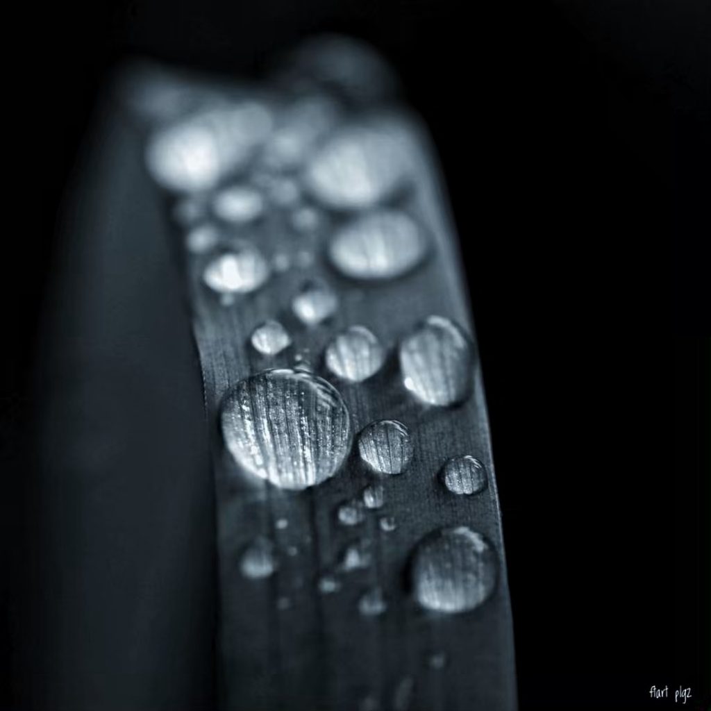 #fotartplgz #bnesimppl #traveldestinations_ig Edited with: @carbonblackandwhite _ #weather #skylovers #natureporn #amazing #skypainters #gf_daily #light&hellip;