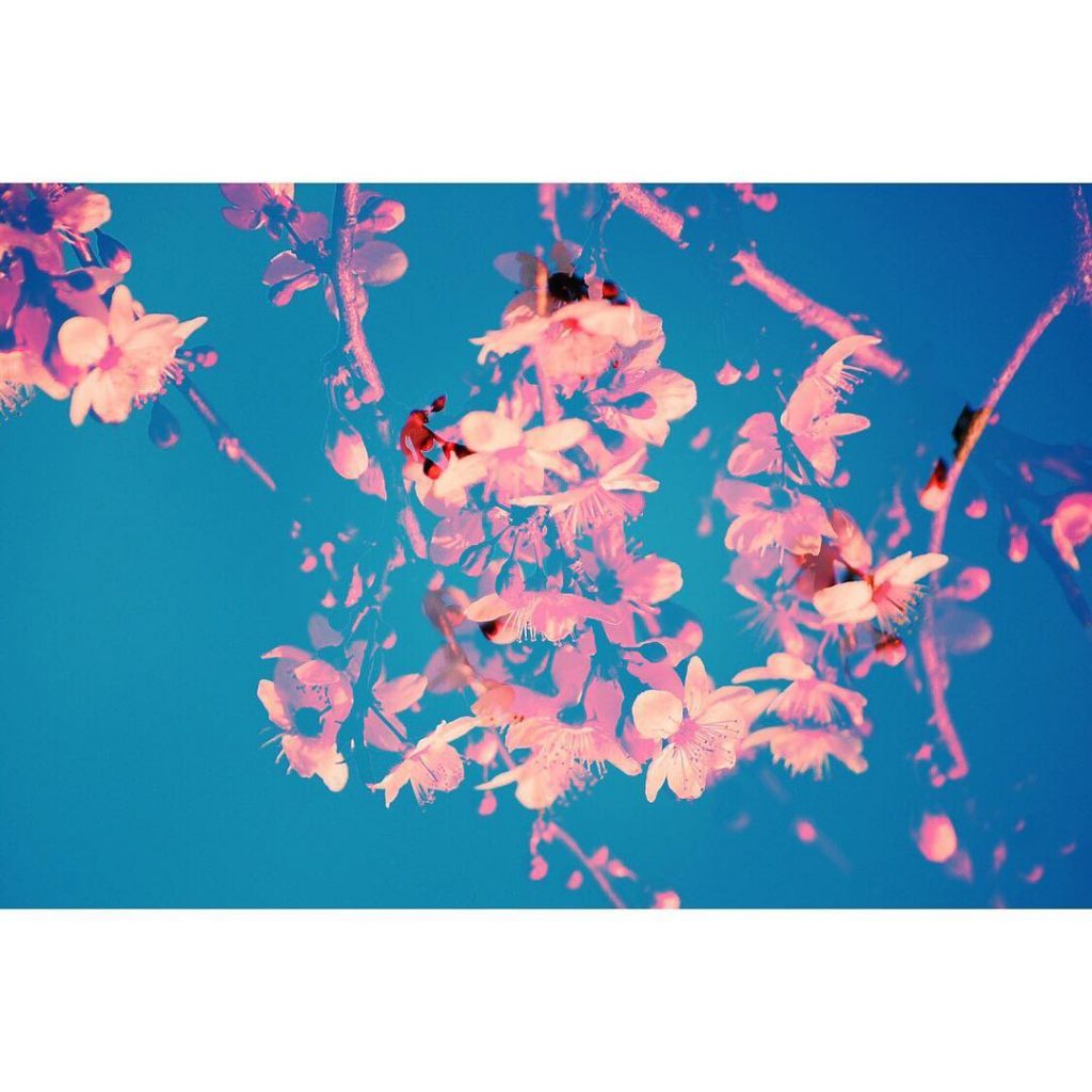Tienes muchos recursos para llenar tus ojos de color #doubleexposure #multipleexposure #experimentalphotography #catalunya #catalunyaexperience&hellip;