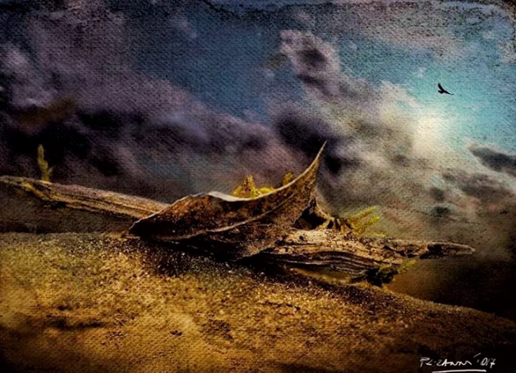 #fotartplgz #bnesimppl #traveldestinations_ig Edited with: @carbonblackandwhite _ #weather #skylovers #natureporn #amazing #skypainters #gf_daily #light&hellip;