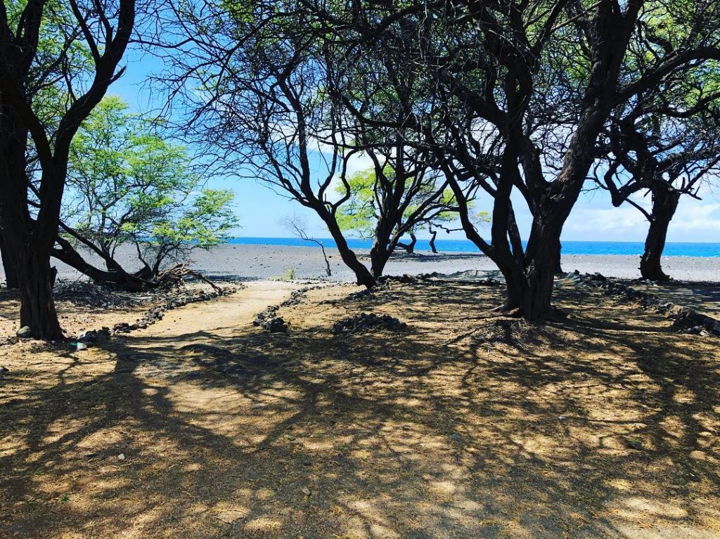 It was supposed to thunderstorm today