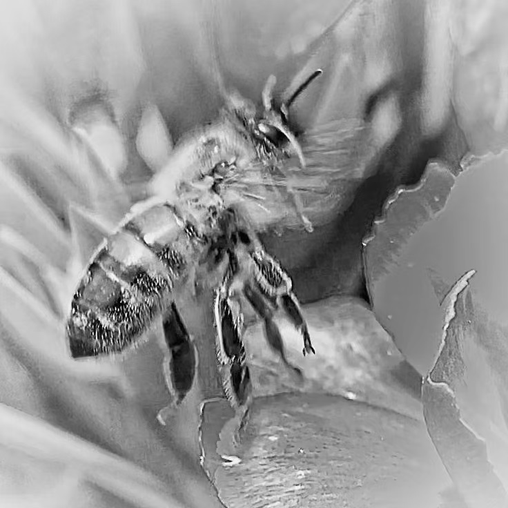 #fotartplgz #bnesimppl #traveldestinations_ig Edited with: @carbonblackandwhite _ #weather #skylovers #natureporn #amazing #skypainters #gf_daily #light&hellip;