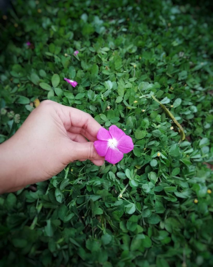 Haz las pequeñas cosas con gran amor . . . #love #nature #lovenature #hapinnes…
