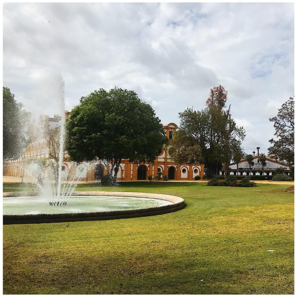 ˢᴾᴬᴺᴵᴱᴺ ↠⠀⠀⠀⠀ ↠ ᴶᴱᴿᴱᶻ ᴰᴱ ᴸᴬ ᶠᴼᴺᵀᴱᴿᴬ .⠀ .⠀ Real Escuela Andaluza del Arte&hellip;