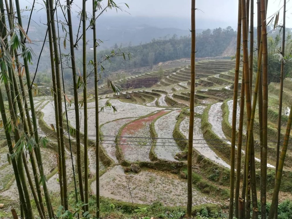 ️S A P A ️ #love #travel #instagood #photooftheday #beautiful #vietnam #sapa #adventure #backpacker&hellip;