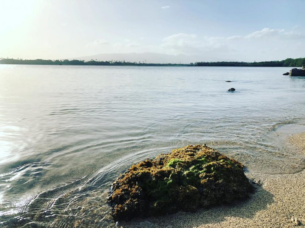 “When we truly realize that we are all alone is when we need others&hellip;